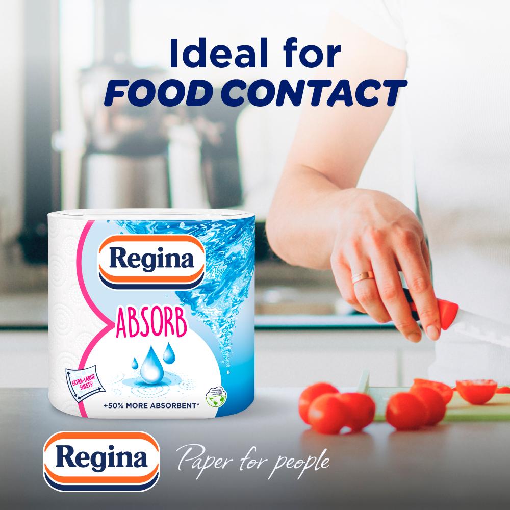 Regina Absorb kitchen towel rolls x2 - British product