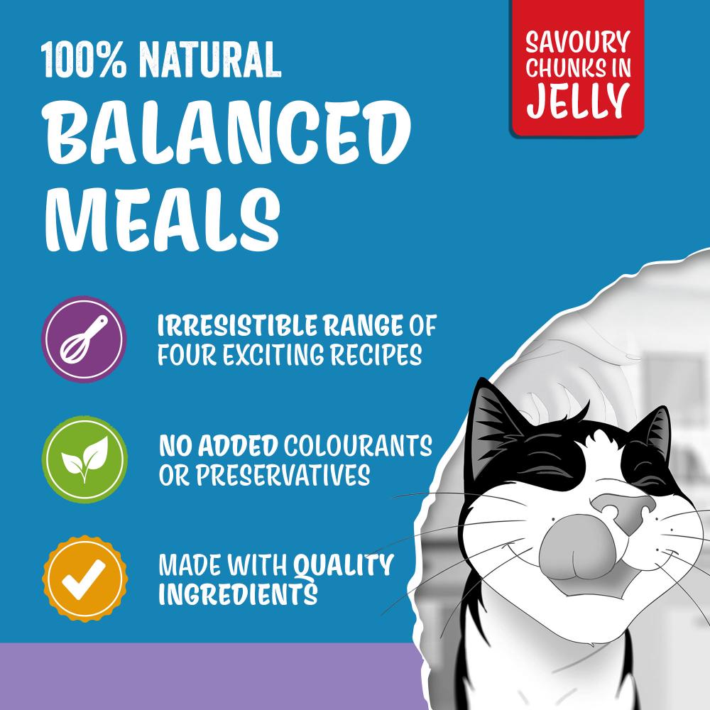 Felix wet cat food Mixed Selection in Jelly 40x85g (British brand)