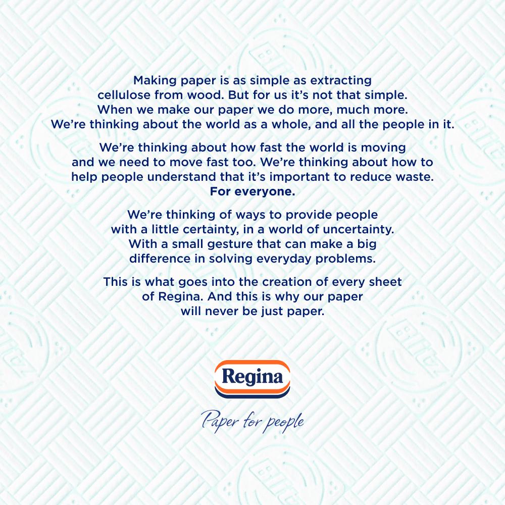 Regina Blitz Household Towel Triple Layered 100 Sheets , imported from the UK