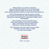 Regina Blitz Household Towel Triple Layered 100 Sheets , imported from the UK