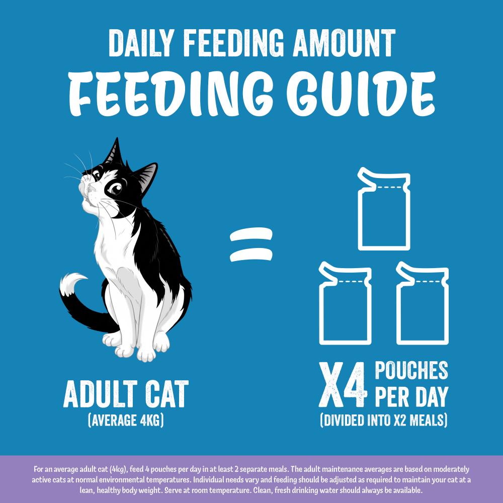 Felix wet cat food Mixed Selection in Jelly 40x85g (British brand)