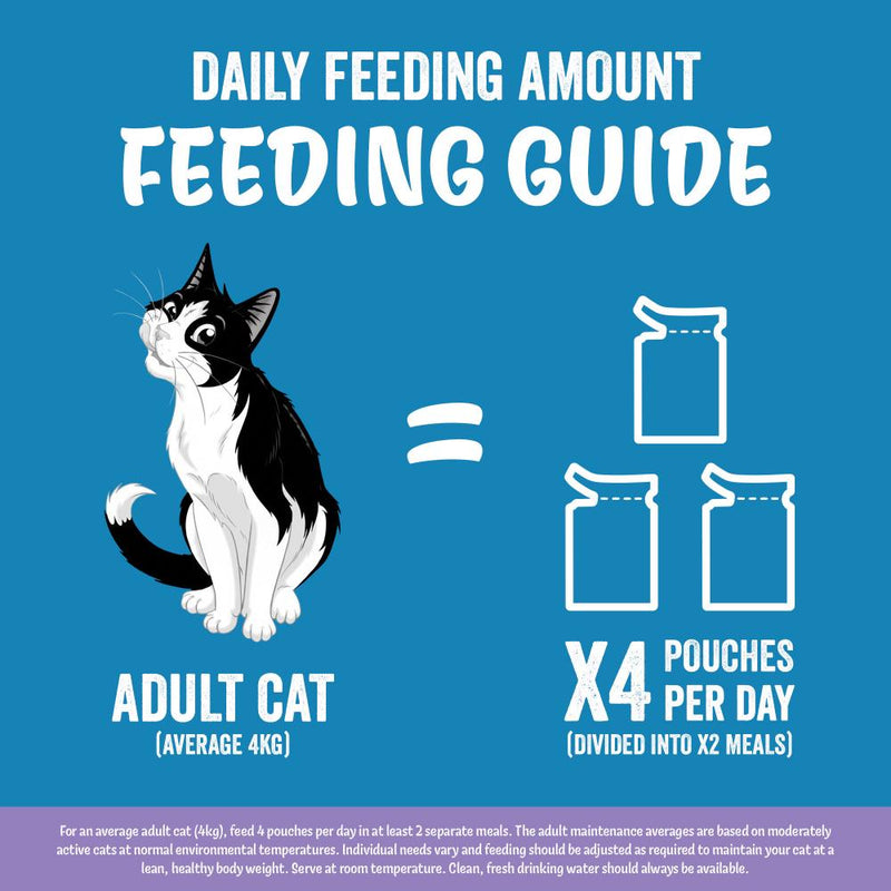 Felix wet cat food Mixed Selection in Jelly 40x85g (British brand)