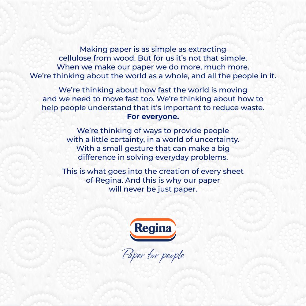 Regina Absorb kitchen towel rolls x2 - British product