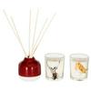 Sainsburys Home Christmas Spice Diffuser  Votive Set