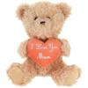Sainsburys Sainsburys Mothers Day Mum Bear Plush- Buy online at McGrocer