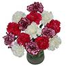 Sainsburys Sainsburys Bouquet Trio d'Œillets- Acheter en ligne chez McGrocer