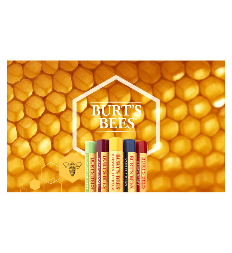 Burt's Bees honey lip balm 4.25g - British product