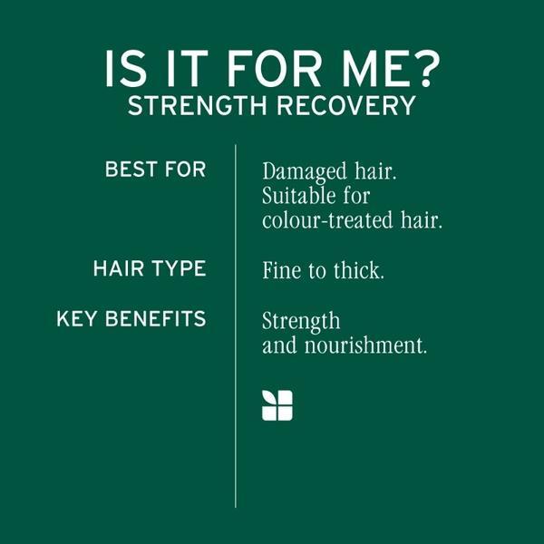 Biolage Strength Recovery conditioner 236ml (British brand)
