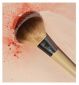 EcoTools Precision Blush Brush - British product