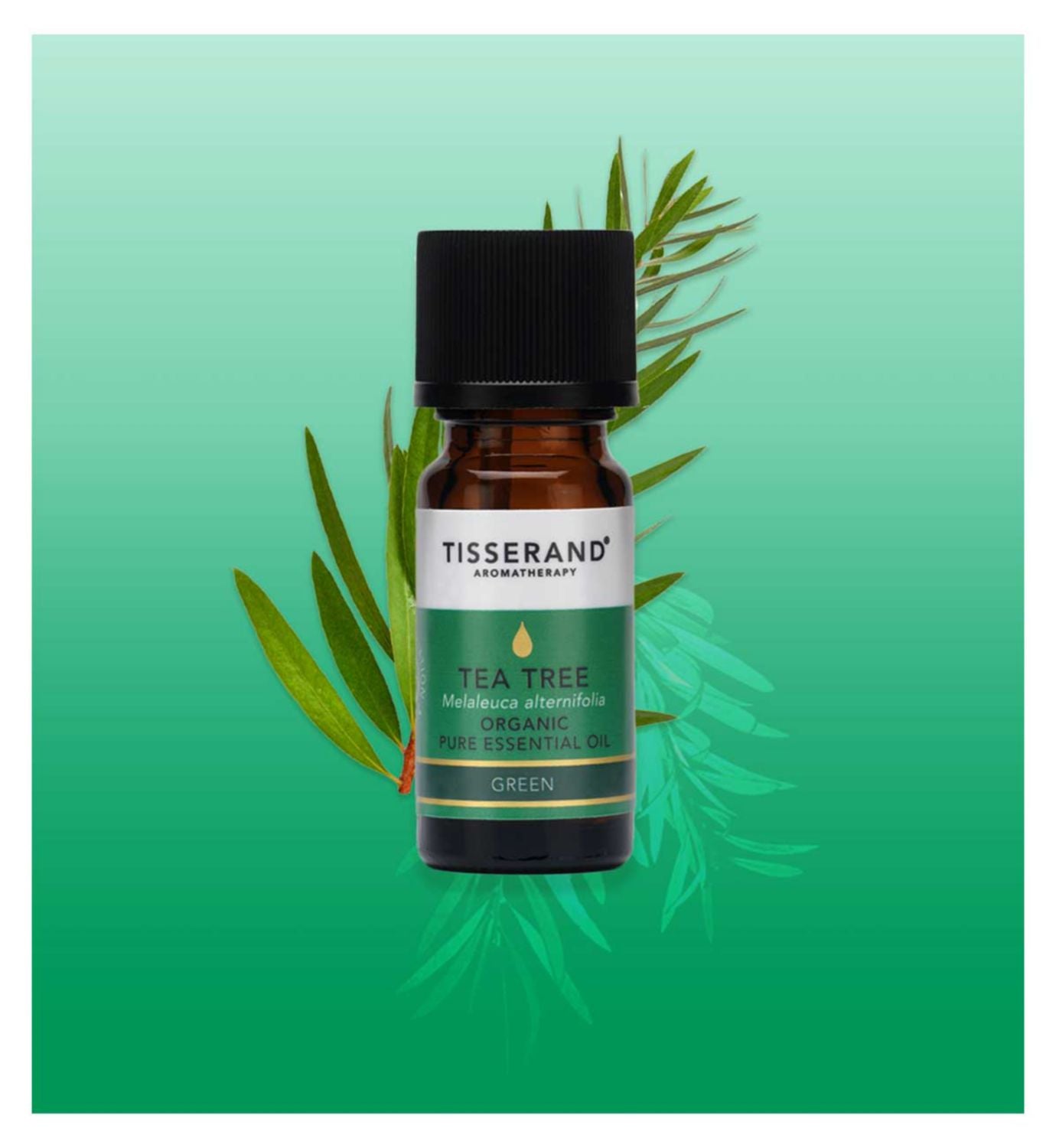 Tisserand Organic Tea Tree essential oil (British brand)