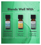 Tisserand Organic Tea Tree essential oil (British brand)