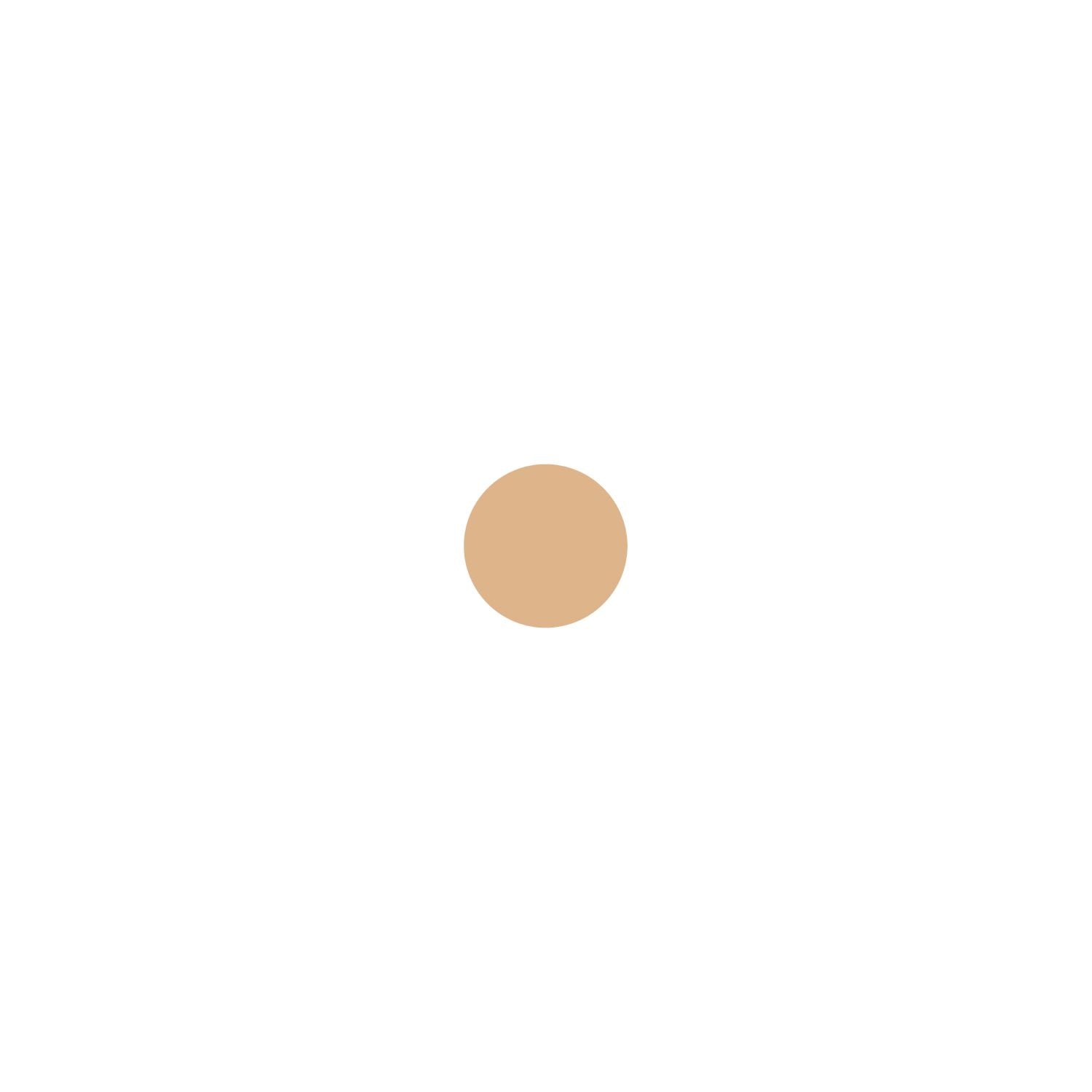 Wet n Wild Photo Focus Foundation (British brand)