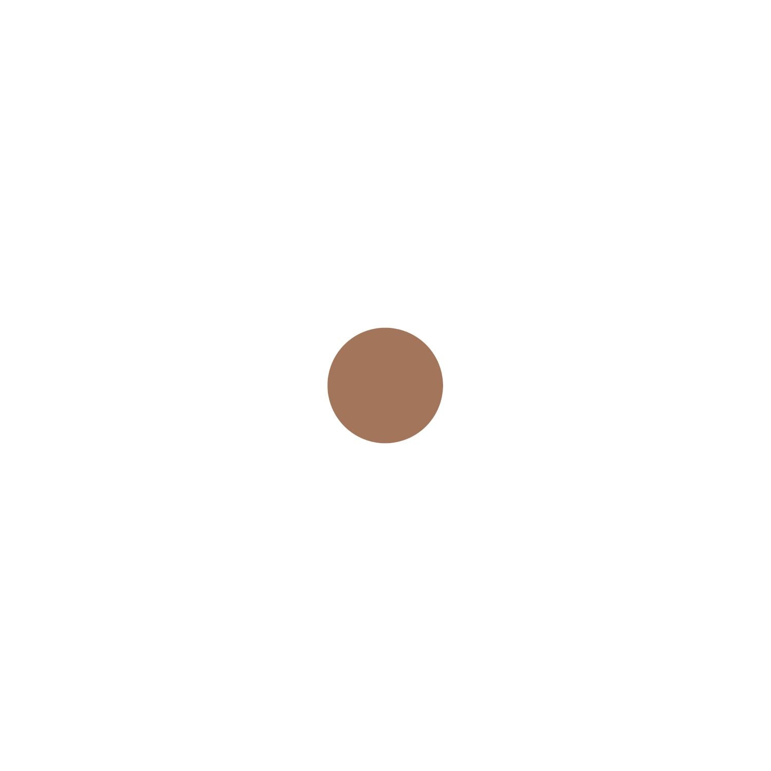 Wet n Wild Color Icon bronzer face powder multi-shade (British brand)