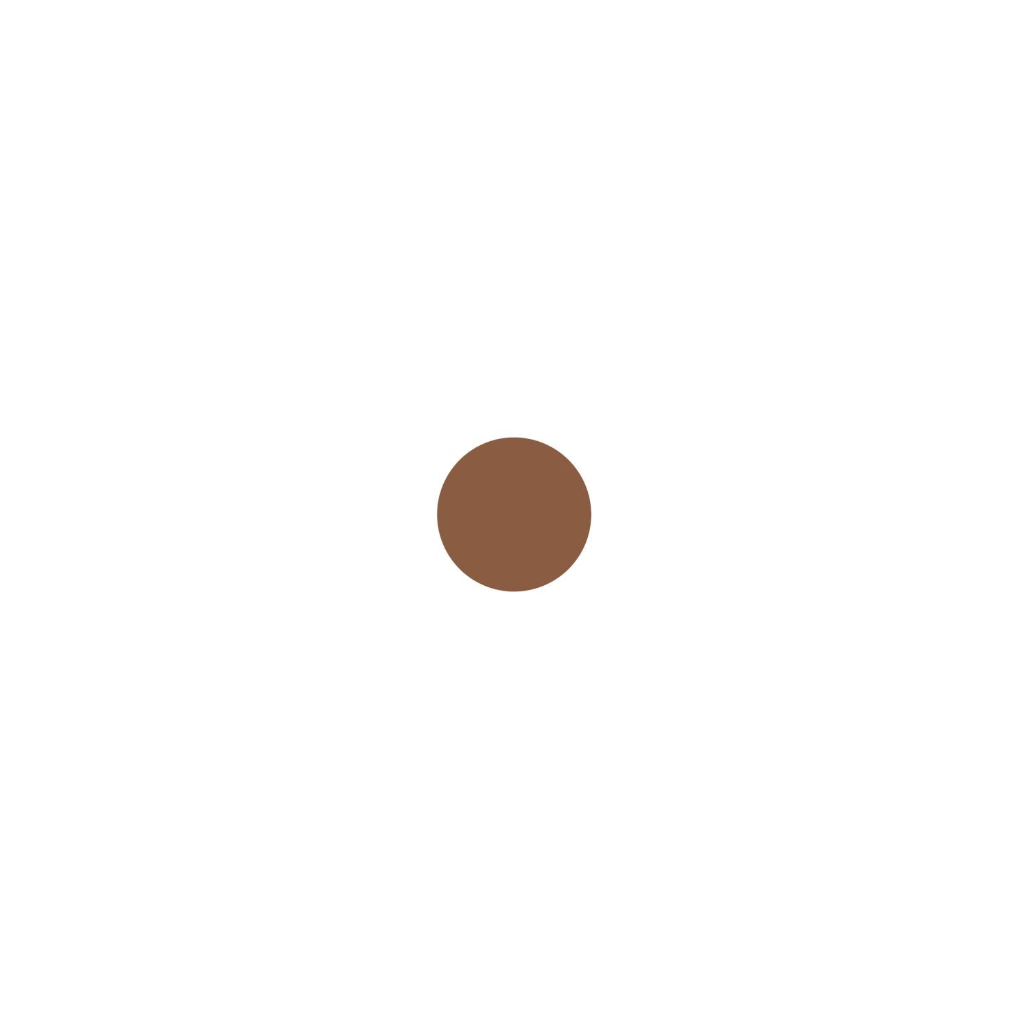 Wet n Wild Color Icon bronzer face powder multi-shade (British brand)