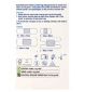 Boots Boots Pansements imperméables, tailles mixtes, lot de 20 - Acheter en ligne chez McGrocer