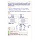 Boots Boots Pansements transparents discrets, tailles assorties, lot de 20 - Acheter en ligne chez McGrocer