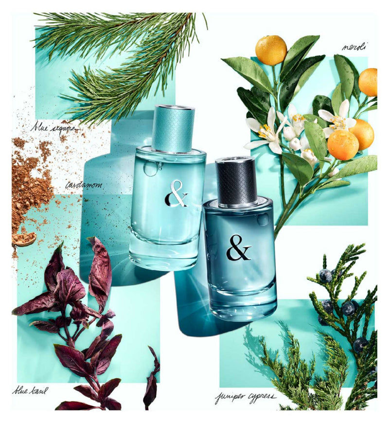Tiffany & Love for Him Eau de Toilette 90ml (British brand)