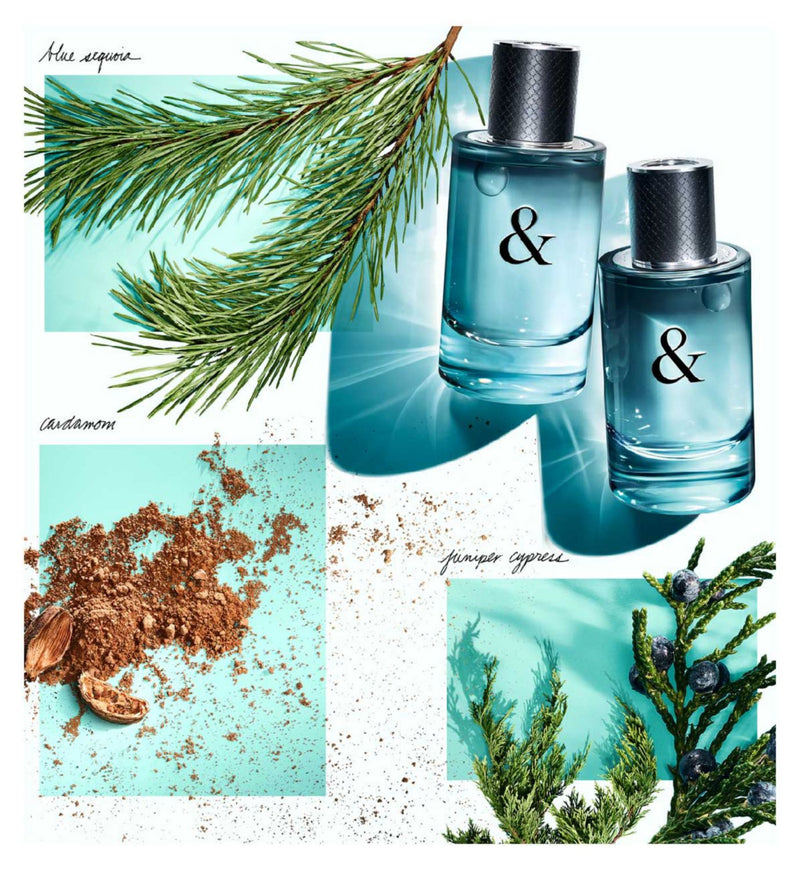 Tiffany & Love for Him Eau de Toilette 90ml (British brand)