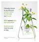 bareMinerals AGELESS Phyto-Retinol Face Cream - British product