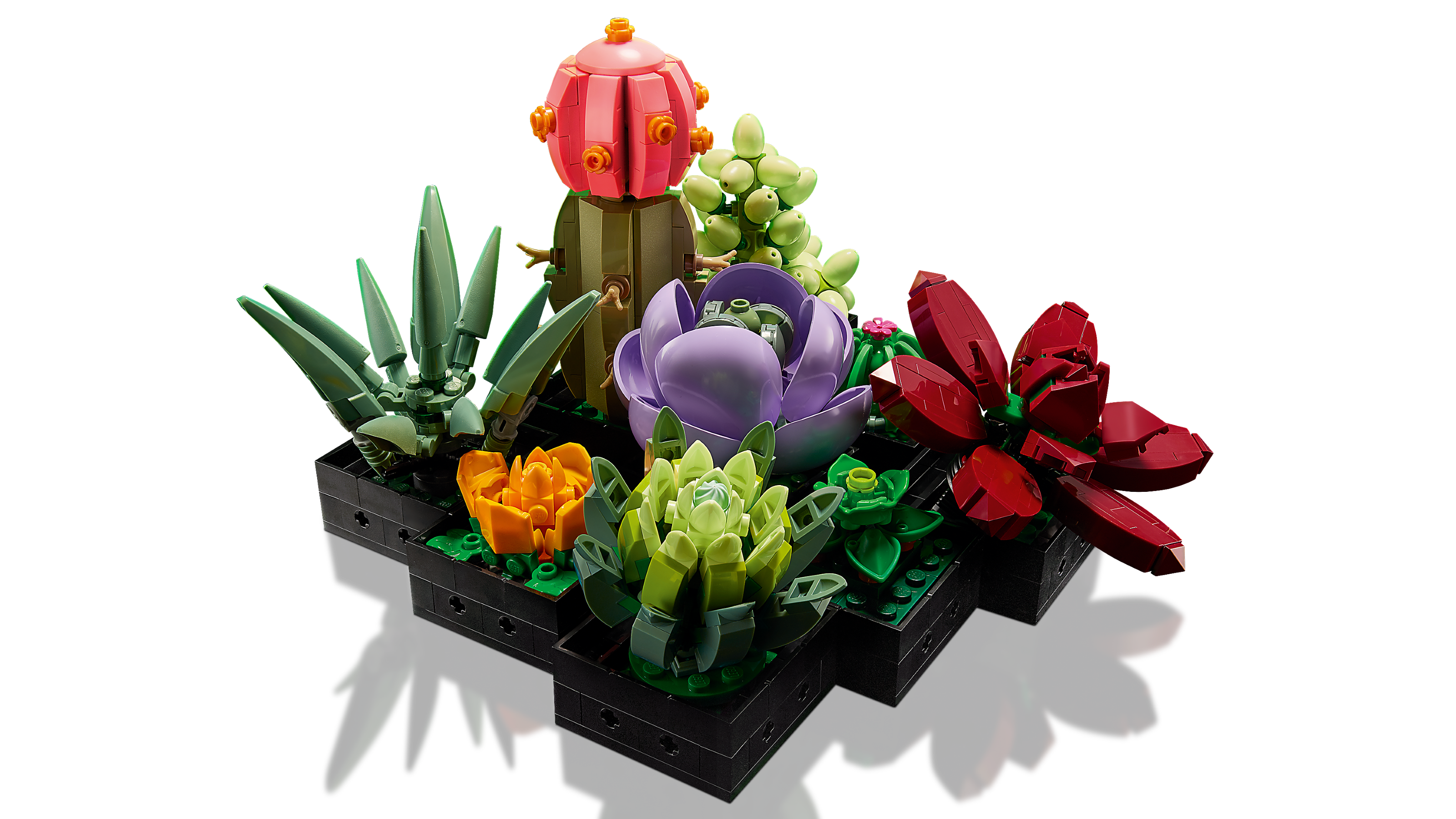 LEGO Succulents Botanicals 771 Piece Building Set (British brand)