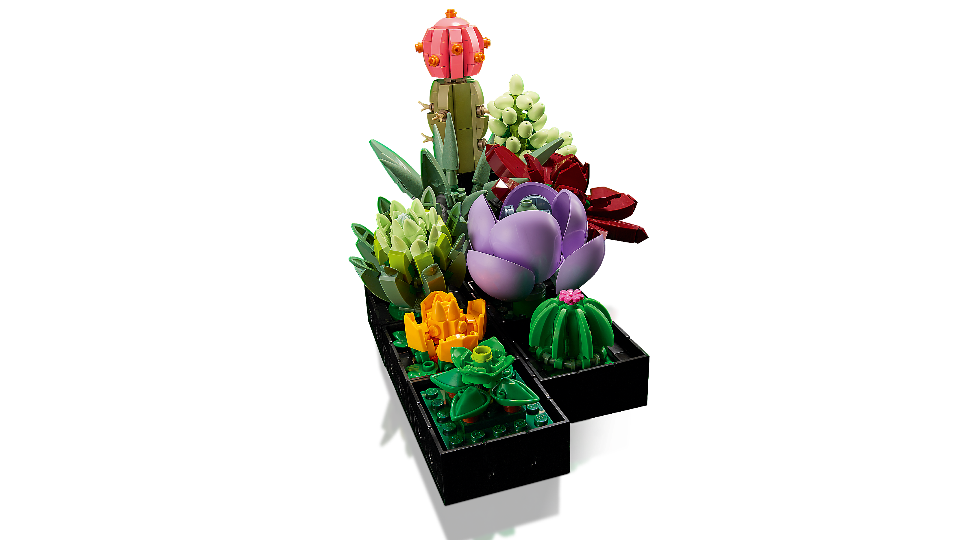 LEGO Succulents Botanicals 771 Piece Building Set (British brand)
