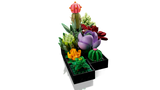 LEGO Succulents Botanicals 771 Piece Building Set (British brand)