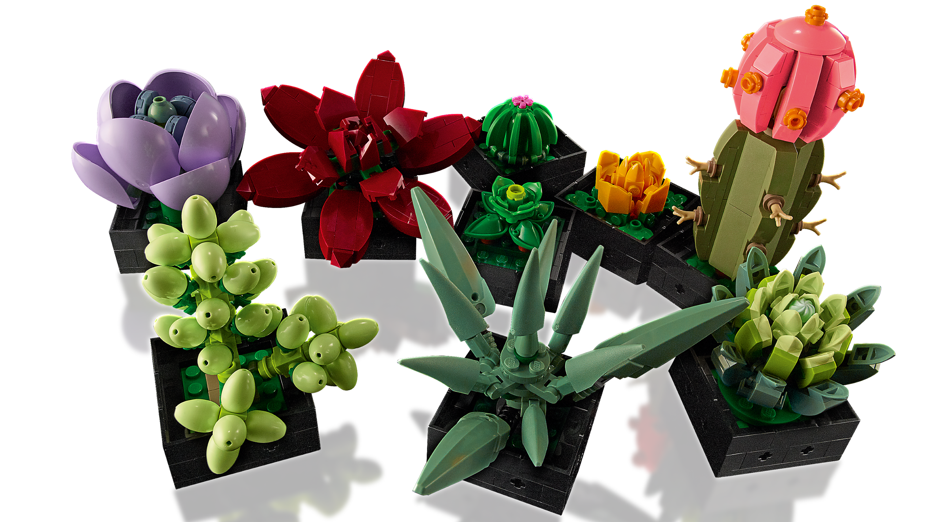 LEGO Succulents Botanicals 771 Piece Building Set (British brand)