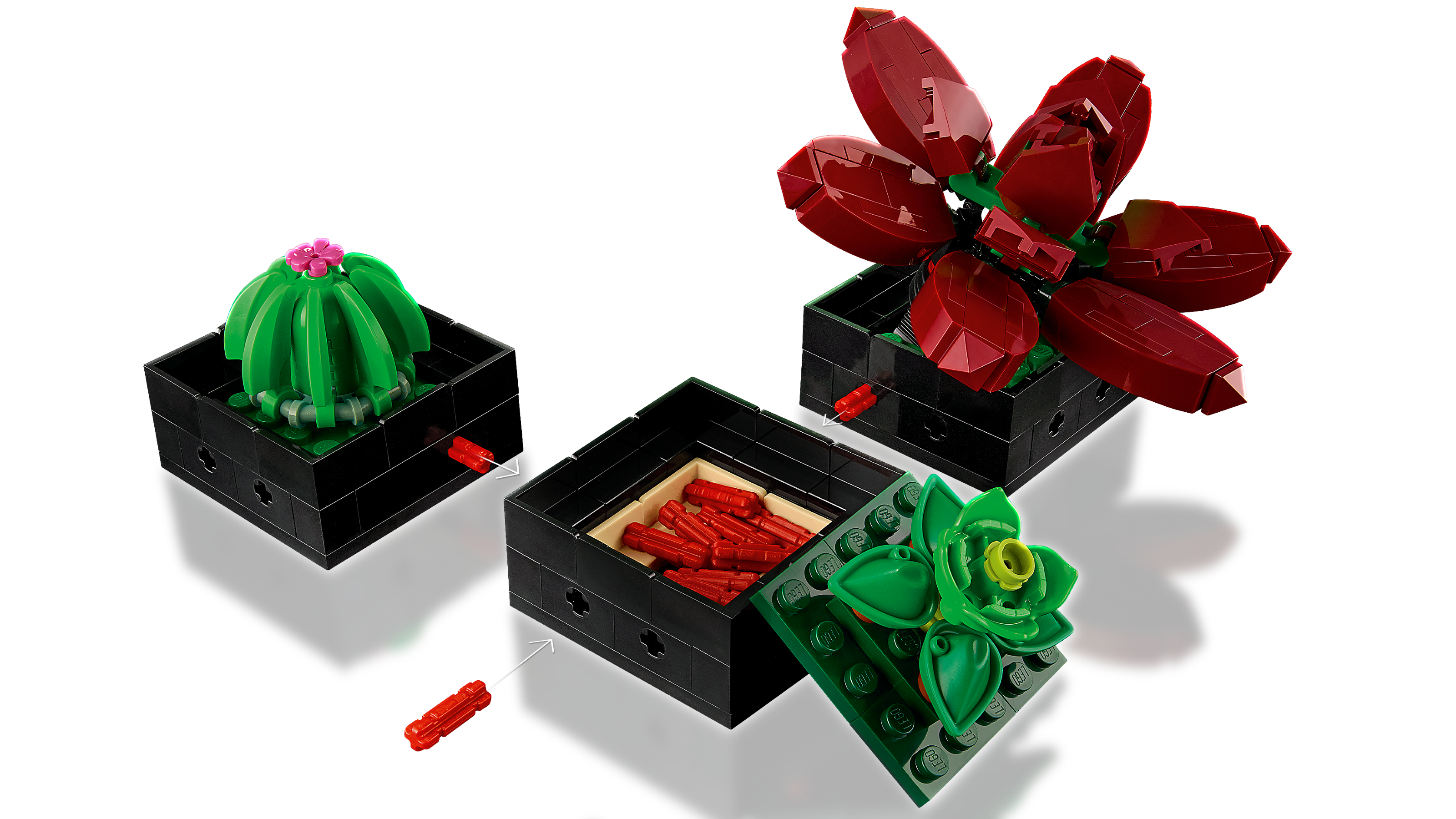 LEGO Succulents Botanicals 771 Piece Building Set (British brand)