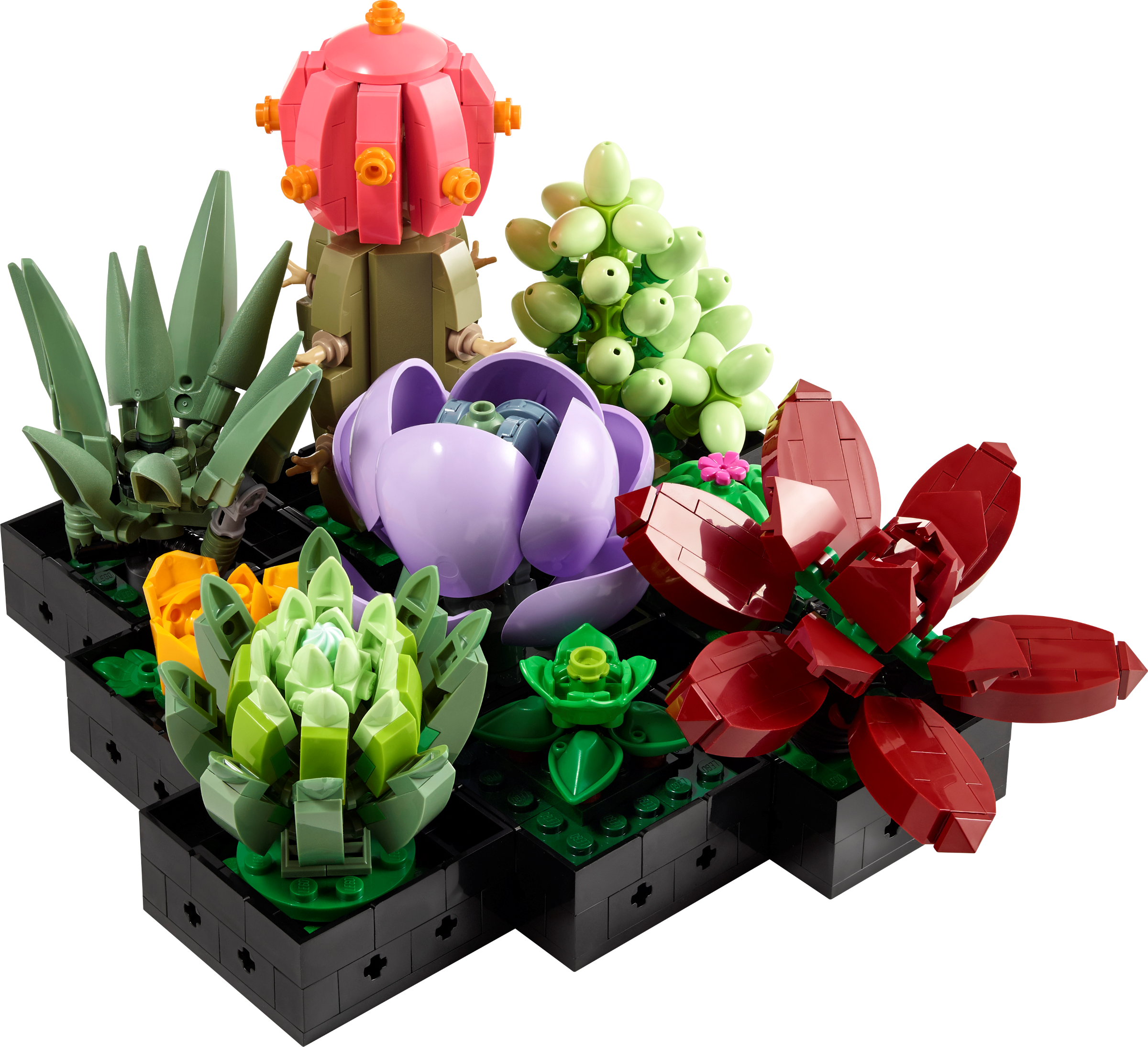 LEGO Succulents Botanicals 771 Piece Building Set (British brand)