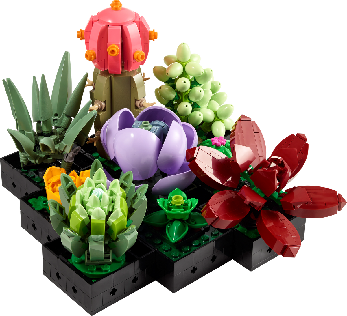 LEGO Succulents Botanicals 771 Piece Building Set (British brand)