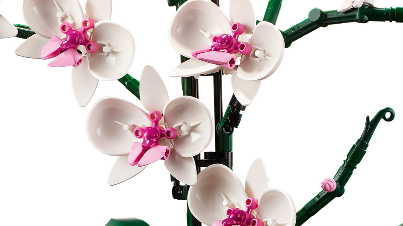 LEGO Orchid model 608 piece set (British brand)
