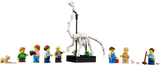 LEGO Natural History Museum building kit, imported from the UK
