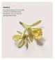 Laura Mercier Vanille Eau de Parfum 50ml, UK versjon