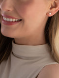 Beaverbrooks Cream/White Freshwater Cultured Pearl Earrings