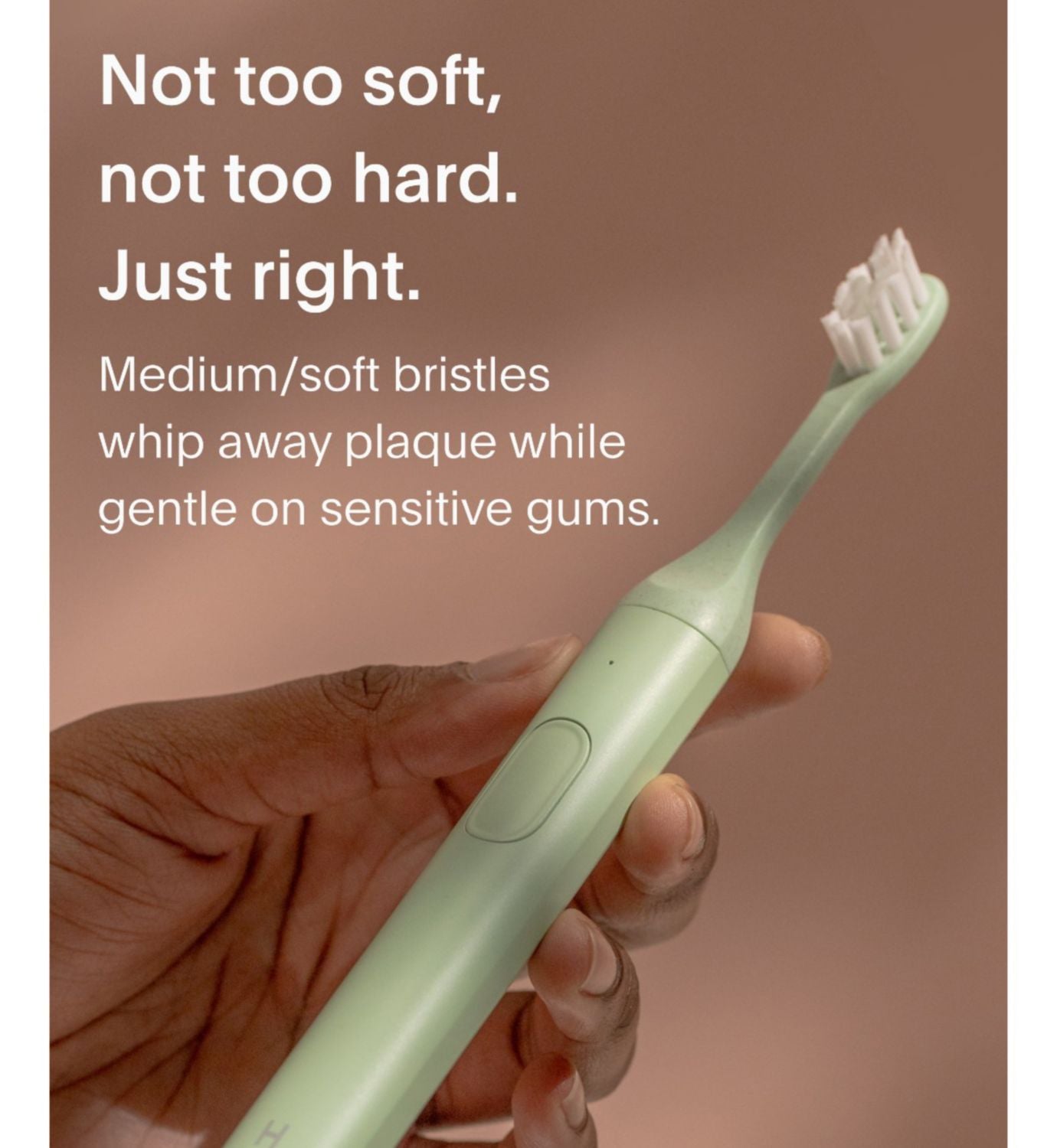 SURI toothbrush heads Winter Fern 3-pack (British brand)