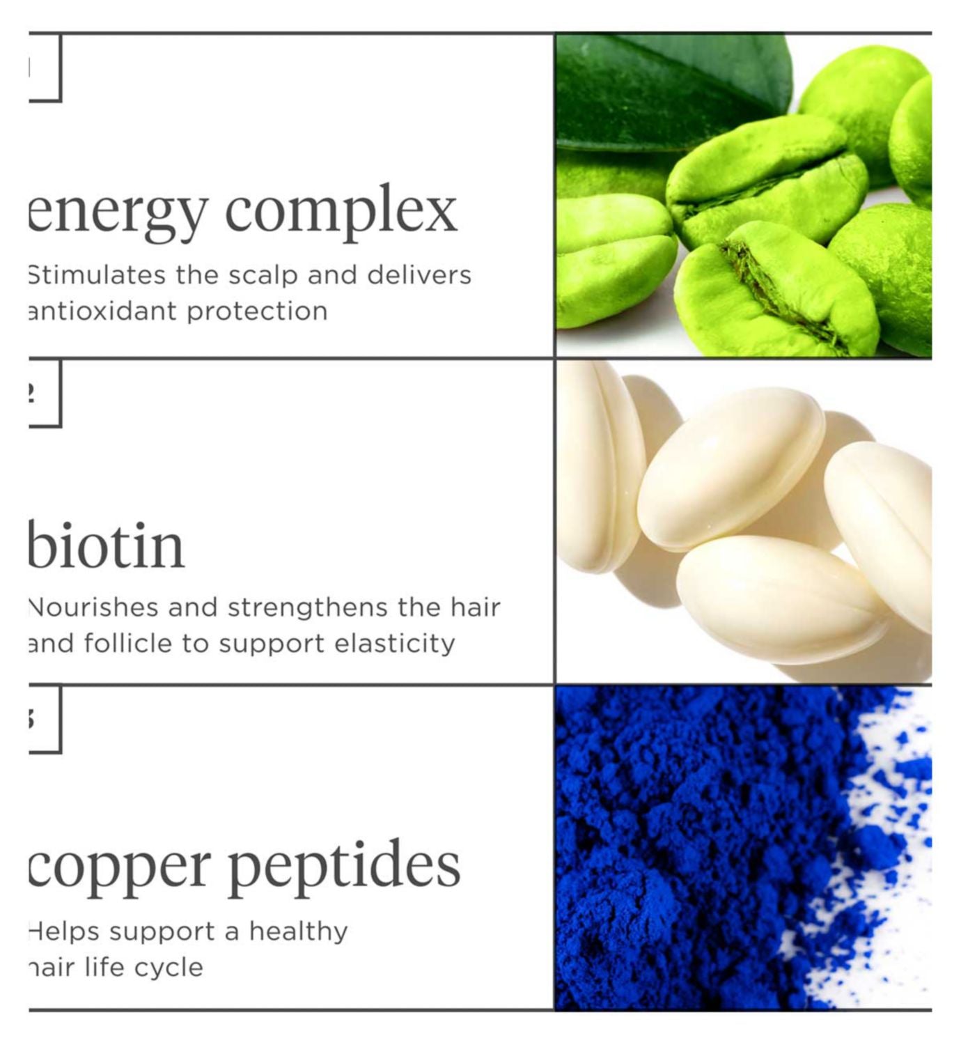Briogeo Density Conditioner Caffeine Biotin Peptide 236ml - British product