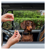Rescue Remedy Pets Dropper 10ml - British product