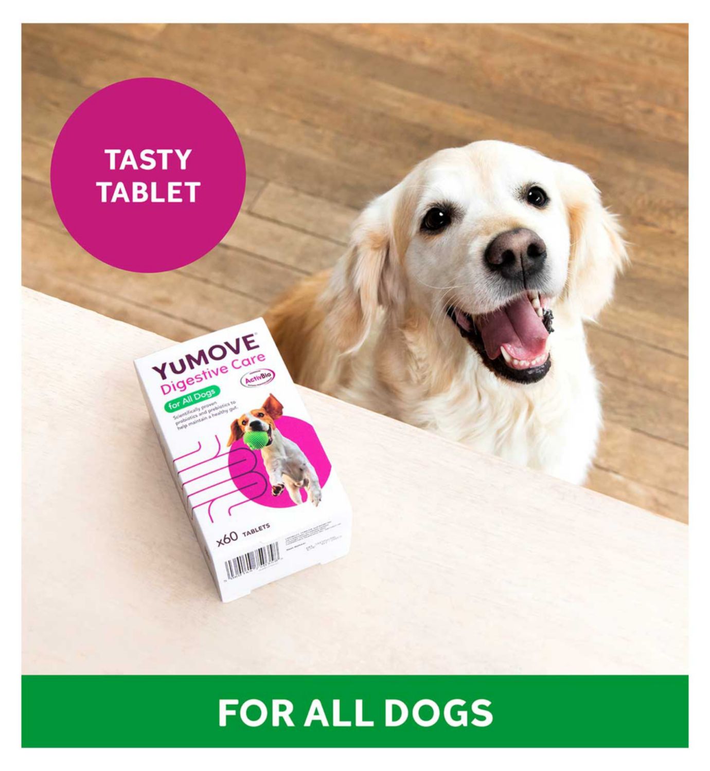 YuMOVE Digestive Care for dogs 60 tablets, UK version