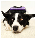 Tangle Teezer pet deshedding brush purple grey (British brand)