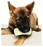 Tangle Teezer puppy brush green (British brand)