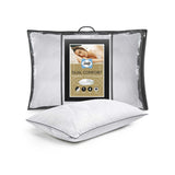 Sealy Dual Comfort Pillow memory foam and hollowfibre (British brand)