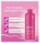 Lee Stafford shampoo Grow Strong & Long Activation 500ml, UK version