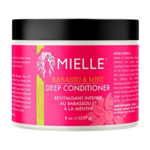 Boots Mielle Babassu & Mint Deep Conditioner For Dry Hair- Buy online at McGrocer