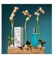 Boots Yardley English Jasmine Body Spray 125ml- Buy online at McGrocer