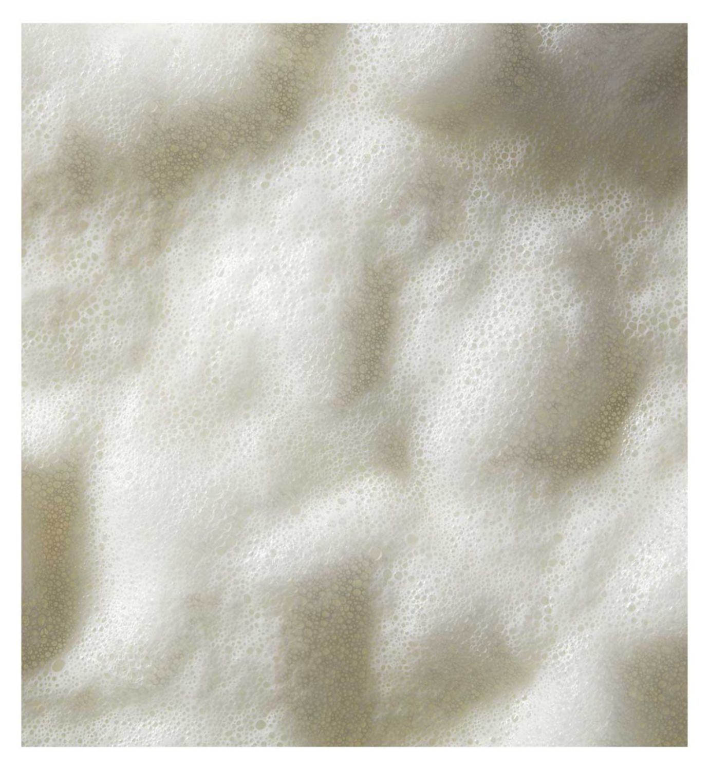 Sanctuary Spa Lily & Rose shower burst, imported from the UK
