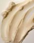 Tree Hut Pisket Kroppssmør Tropic Glow 240g
