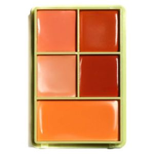 Boots Made By Mitchell Colour Case Mini Cream Blusher Palette The Peaches- Buy online at McGrocer