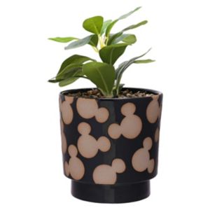 Disney Mickey Shapes Black Planter with Artificial Succulent - British product