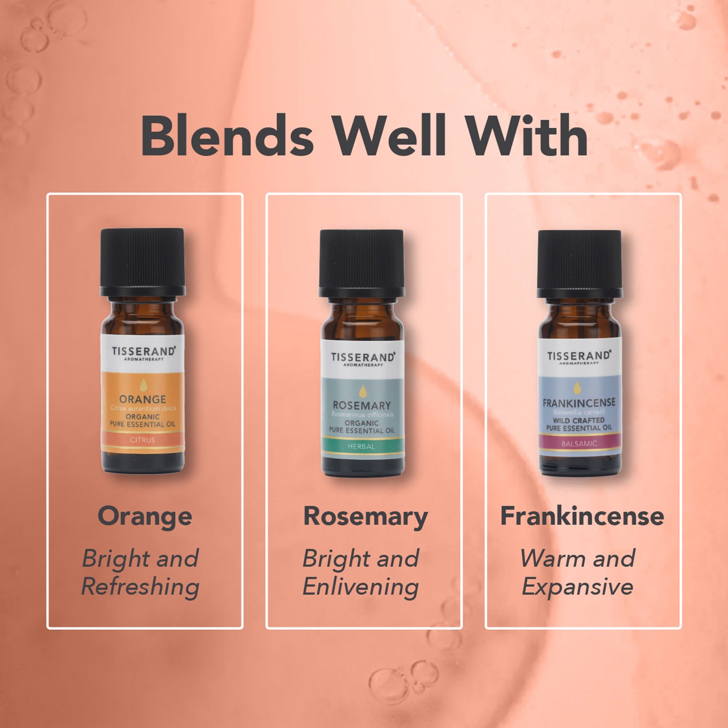 Tisserand ginger organic essential oil 9ml (British brand)