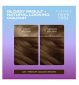 Clairol Nice n Easy hair dye medium golden brown - British product